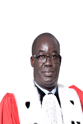 Le Directeur du Service de Documentation et d'Etudes (SDE)