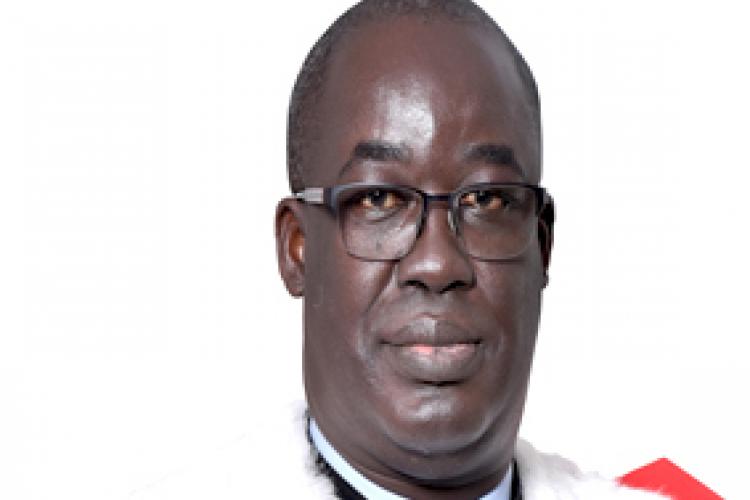 Le Directeur du Service de Documentation et d'Etudes (SDE)